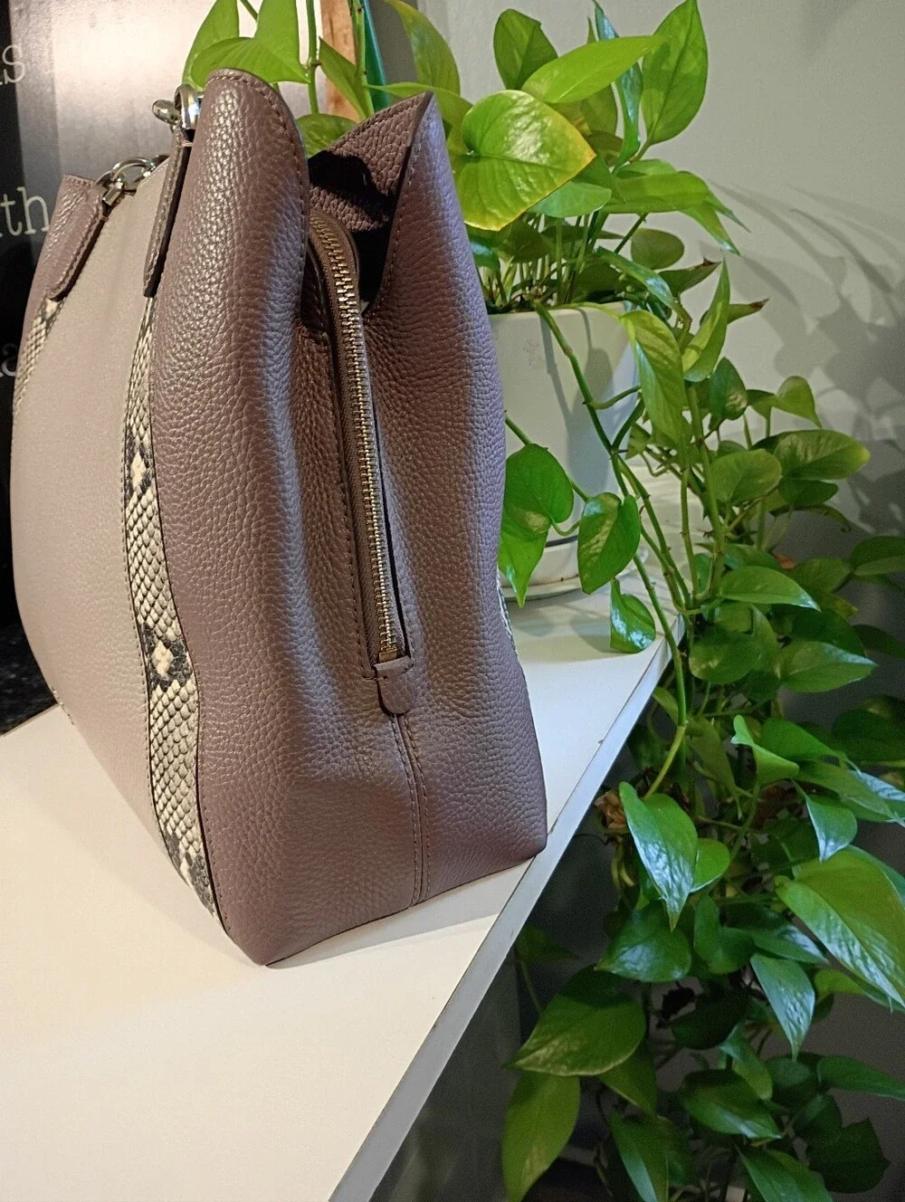 kate spade Taupe and Brown Tote with Snake-Print Trim